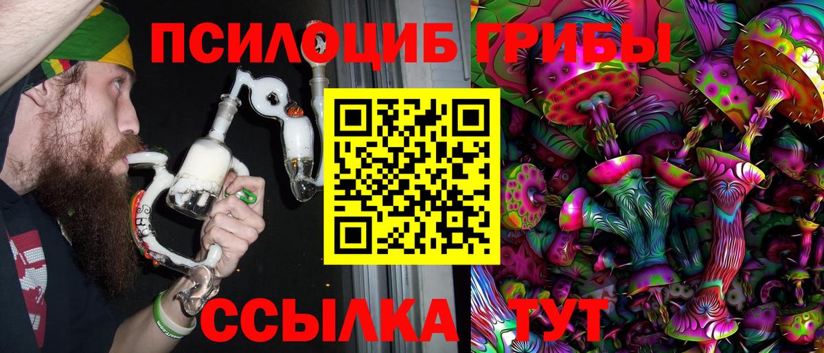 Псилоцибиновые грибы Cubensis Котовск